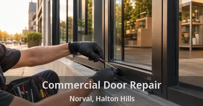 Commercial Door Repair Norval, Halton Hills - ON