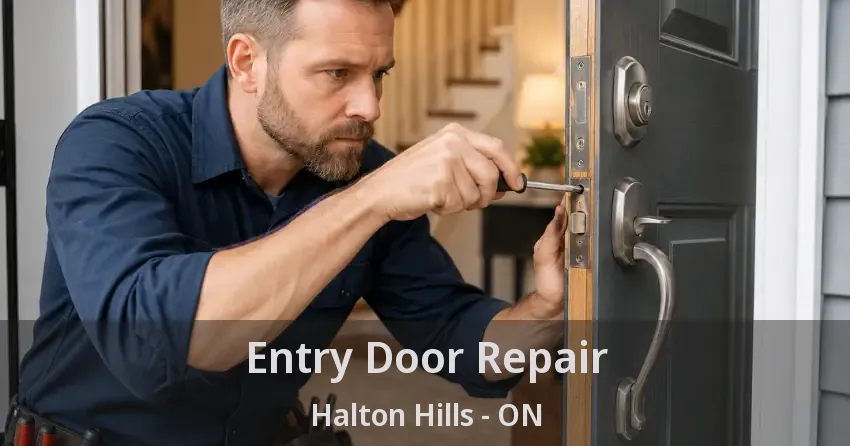 Entry Door Repair Halton Hills - ON