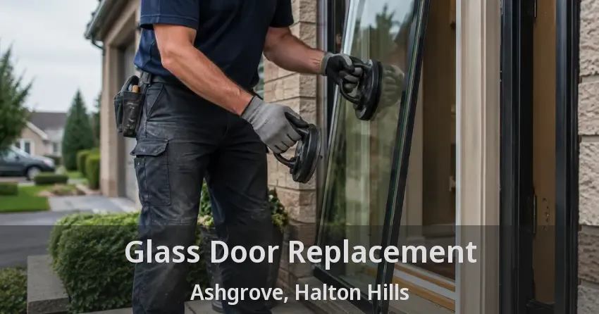 Glass Door Replacement Ashgrove, Halton Hills - ON