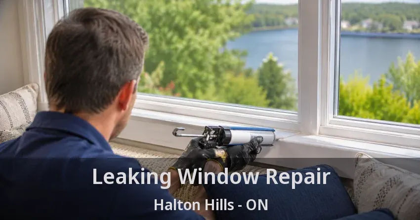 Leaking Window Repair Halton Hills - ON