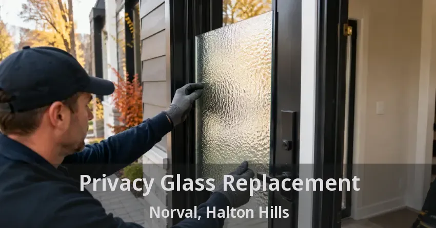 Privacy Glass Replacement Norval, Halton Hills - ON