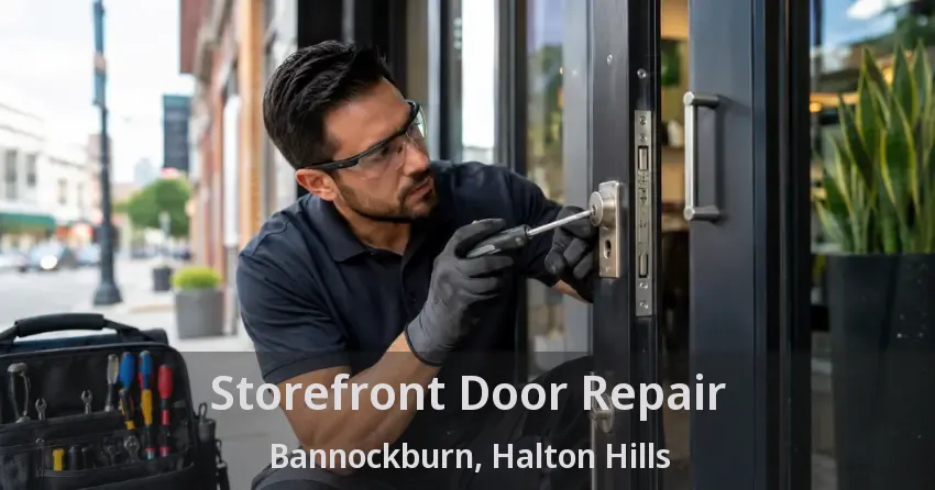 Storefront Door Repair Bannockburn, Halton Hills - ON