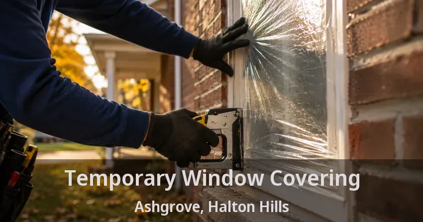Temporary Window Covering Ashgrove, Halton Hills - ON