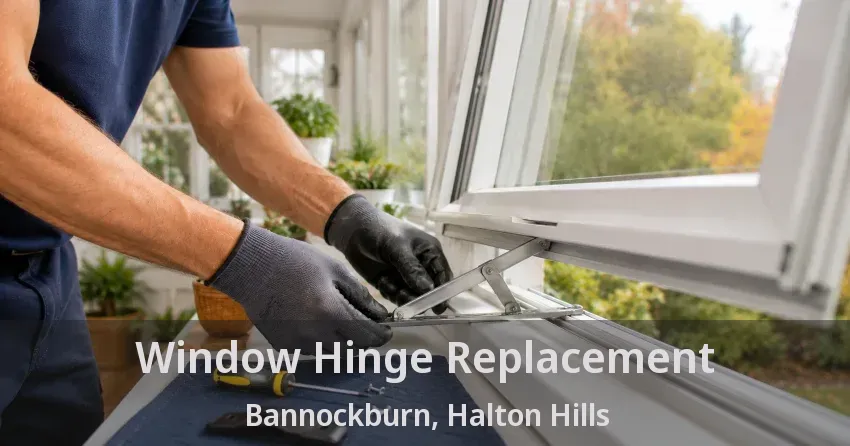 Window Hinge Replacement Bannockburn, Halton Hills - ON